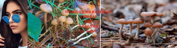 марки lsd Нижневартовск