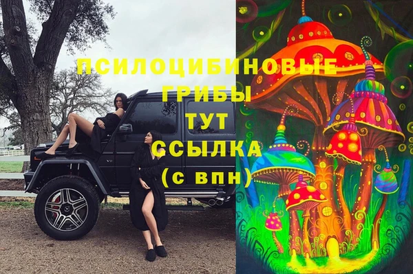 спайс Волоколамск