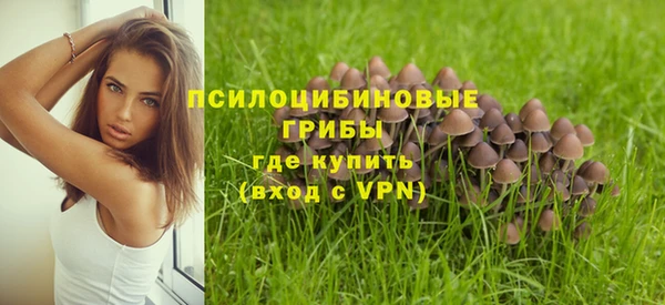 спайс Волоколамск